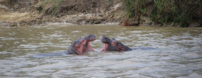 Isimangaliso Wetland Park, St. Lucia Estuary, Zuid-Afrika vanuit Richards Bay