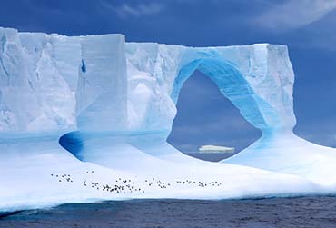 luxe cruise naar 

antarctica met regent seven seas cruises