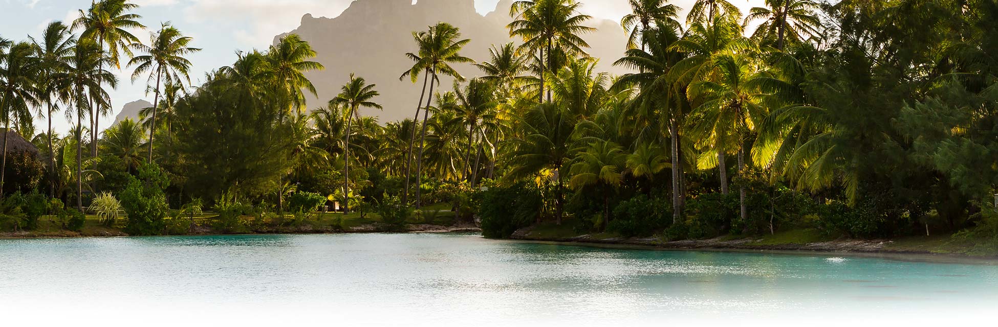 frans-polynesie-bora-bora-tahiti-moorea-palmen.jpg