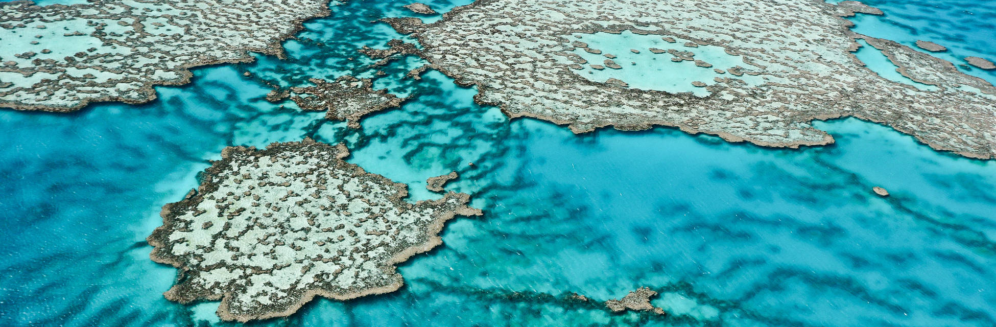 Great-Barrier-Reef-Fotolia_47405243_XL.jpg
