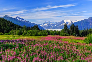 resized/alaskalandschap-1