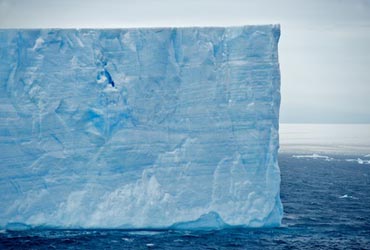 resized/antarctica-10