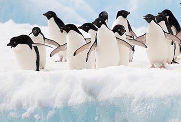 Expeditie cruise naar Antarctica met Seabourn antarctica-cruise-2.jpg