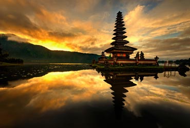 indonesie-bali-java-rijstveld-zon