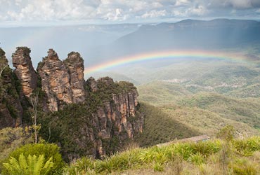 Cruise naar Australië met Princess Cruises australie_koala