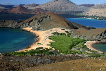 Expeditie cruise naar de Westelijke Galapagos met Silversea Cruises silver_galapagos_schildpad