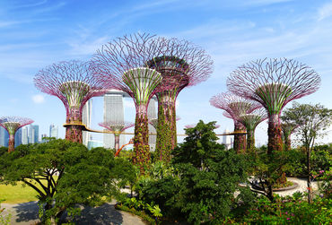 gardens-by-the-bay-supertrees-fotolia_61954773_l