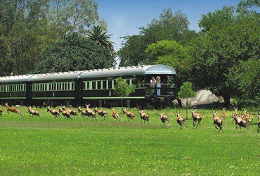 Cruise naar Zuid Afrika met Azamara Club Cruises afrika-kaapstad-overzicht