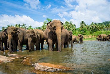 Cruise van Sri Lanka naar Cyprus met Hapag-Lloyd Cruises limassol_cyprus