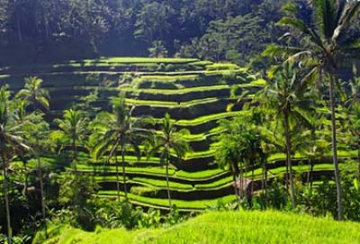 Cruise van Hongkong naar Bali met Seabourn