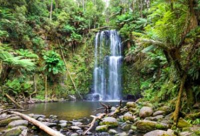 Cruise van Sydney naar Auckland met Oceania Cruises