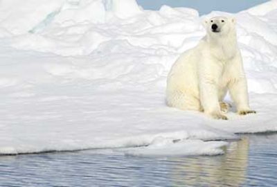 Cruise van New York naar Reykjavik met Oceania Cruises